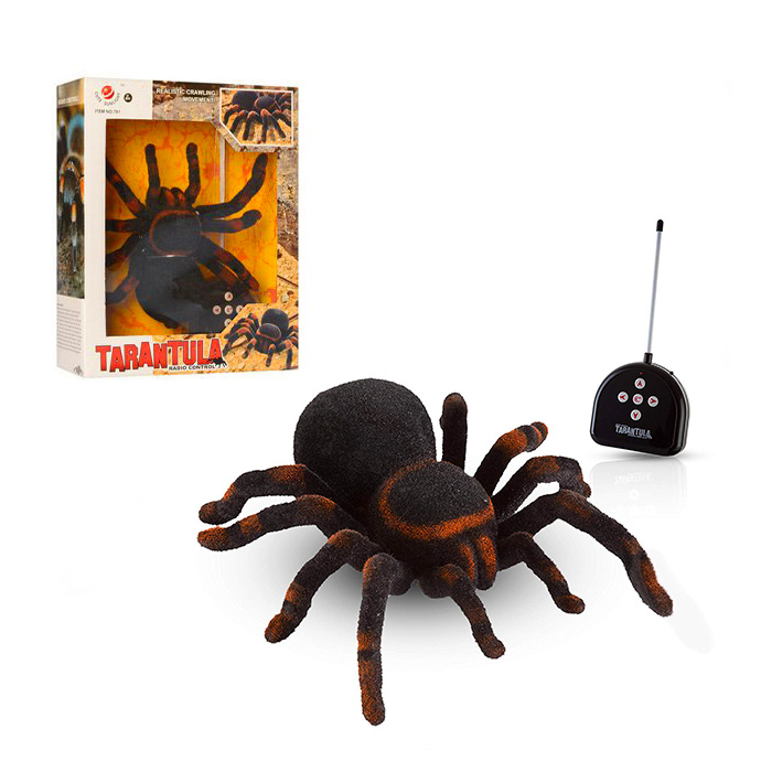 Foto Păianjen cu r/c 781 Păianjen cu r/c 781