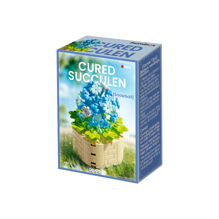 Constructor Feelo Cured Succulen FL2266