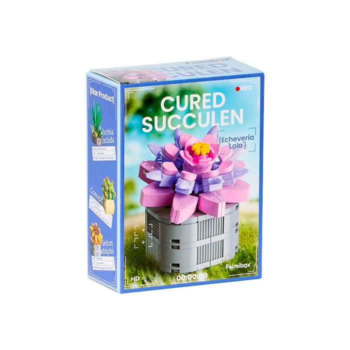 Constructor Feelo Cured Succulen FL2280