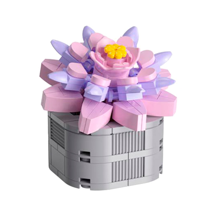 Constructor Feelo Cured Succulen FL2280