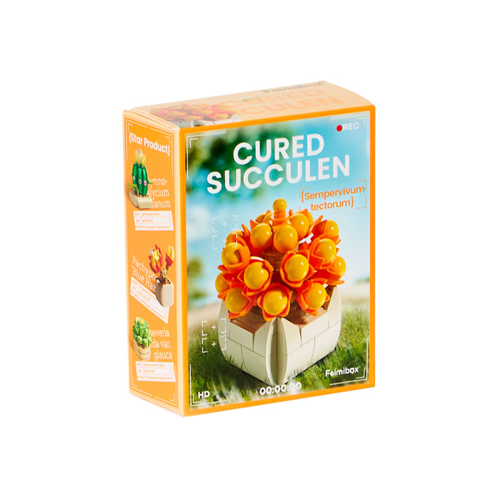 Constructor Feelo Cured Succulen FL1318