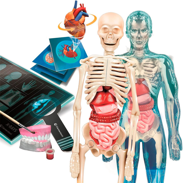 Set de cercetare pentru copii Super Anatomy 75104