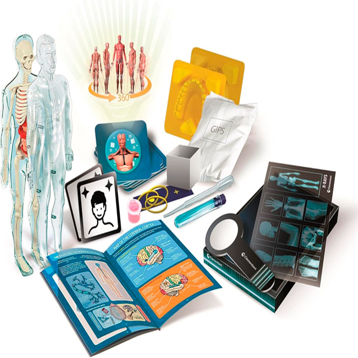 Set de cercetare pentru copii Super Anatomy 75104