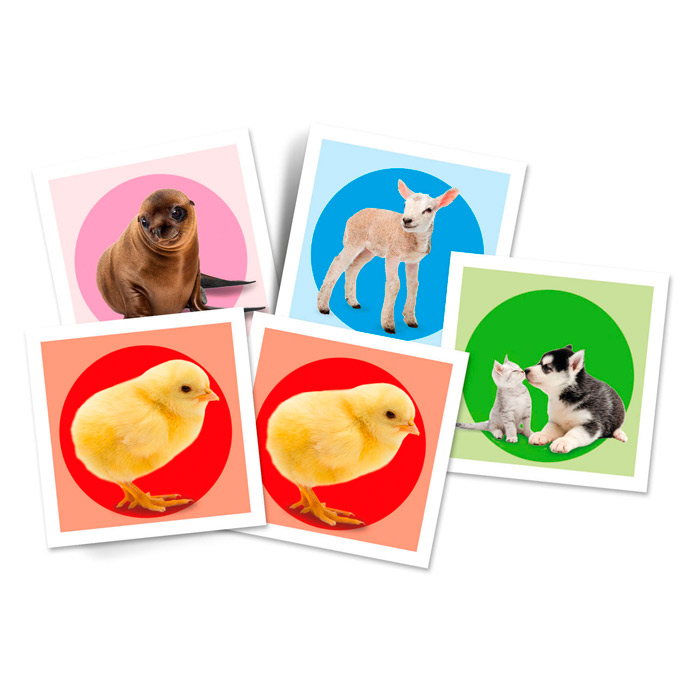 Foto Joc de masa "Memo Baby Animals" 18315 Joc de masa "Memo Baby Animals" 18315