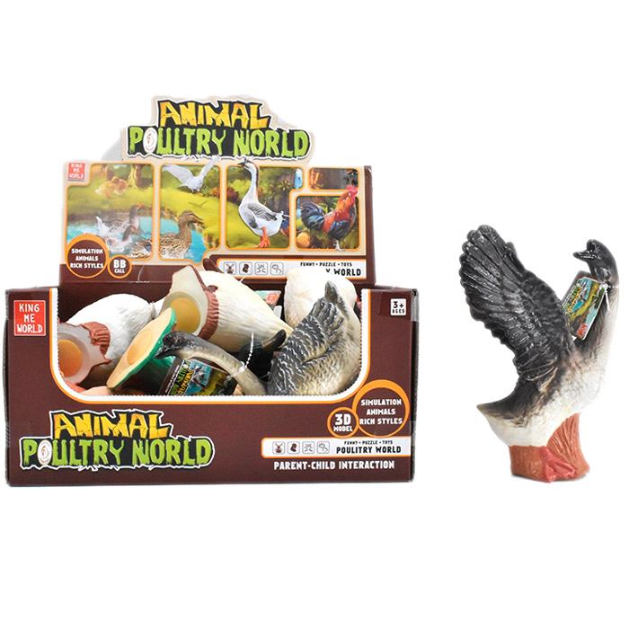 Foto Animale domestice 057A Animale domestice 057A