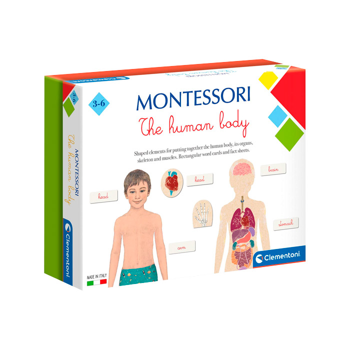 Joc Montessori Corpul uman 61504