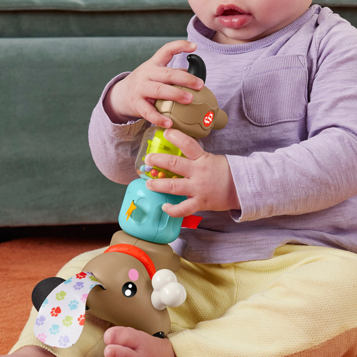 Jucarie educativa catel Taxa HTW91