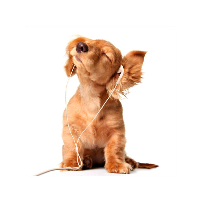 Pictura cu diamante 21x25 YSA0707