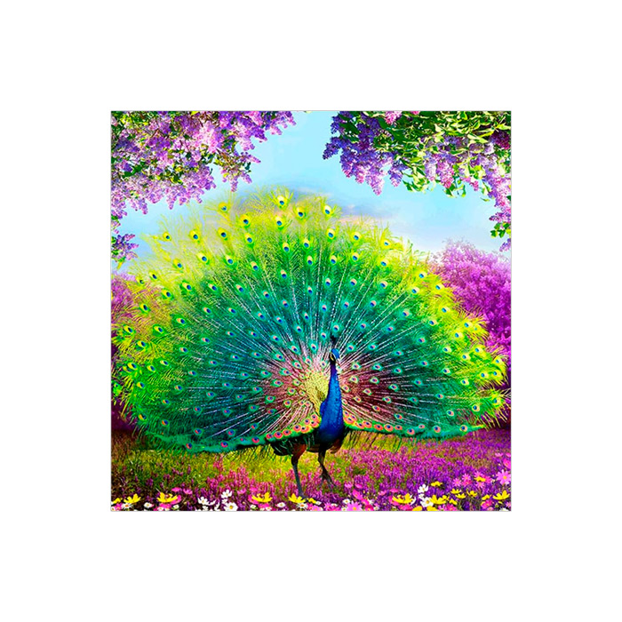 Pictura cu diamante 21x25 YSA0723