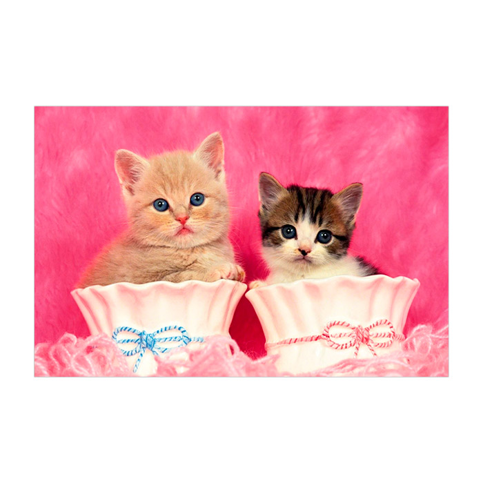 Pictura cu diamante 21x25 YSA0825