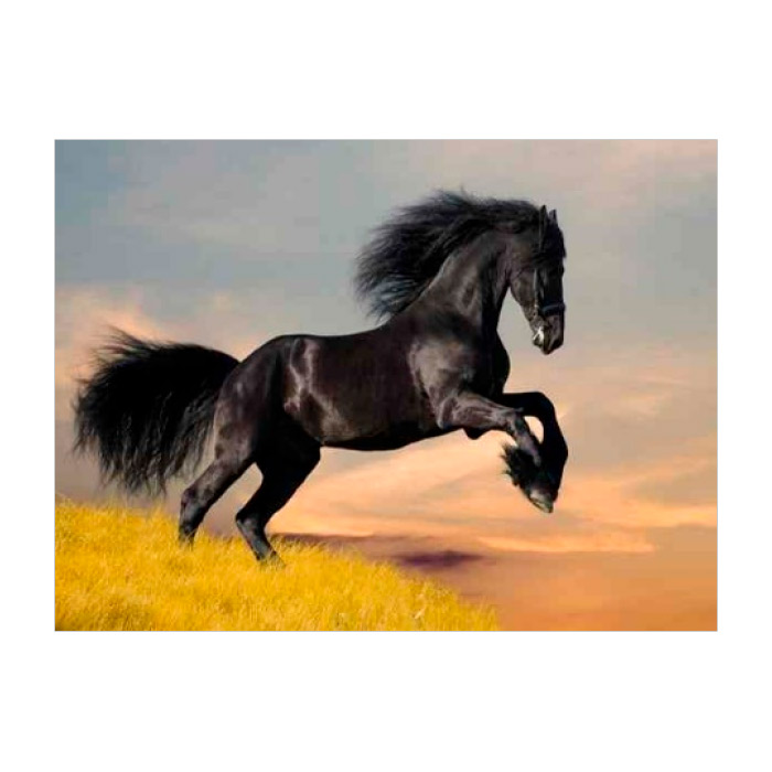 Pictura cu diamante 21x25 YSA2782