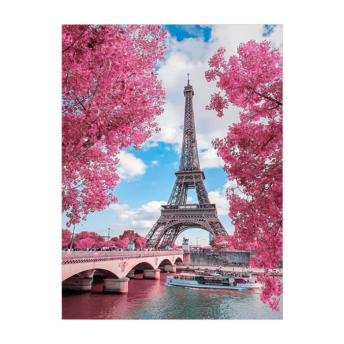 Pictura cu diamante 21x25 YSA2787