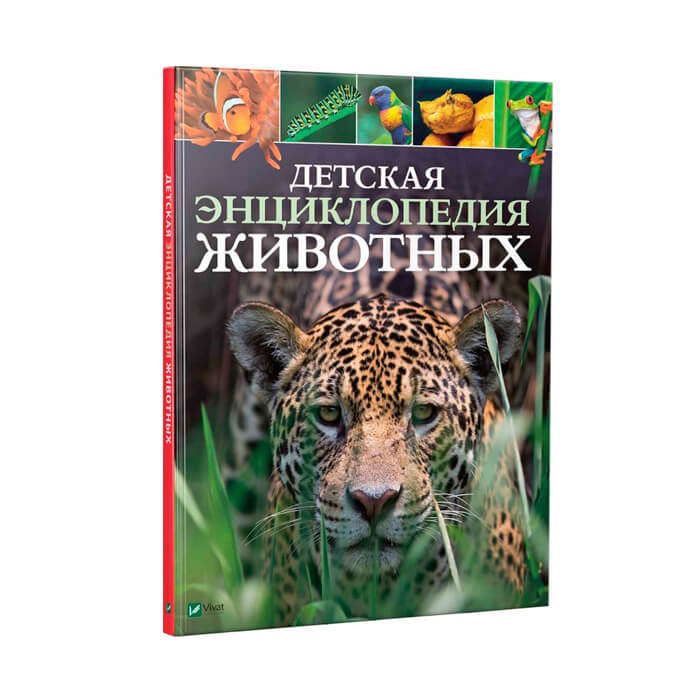 Детская энциклопедия Животных 425768