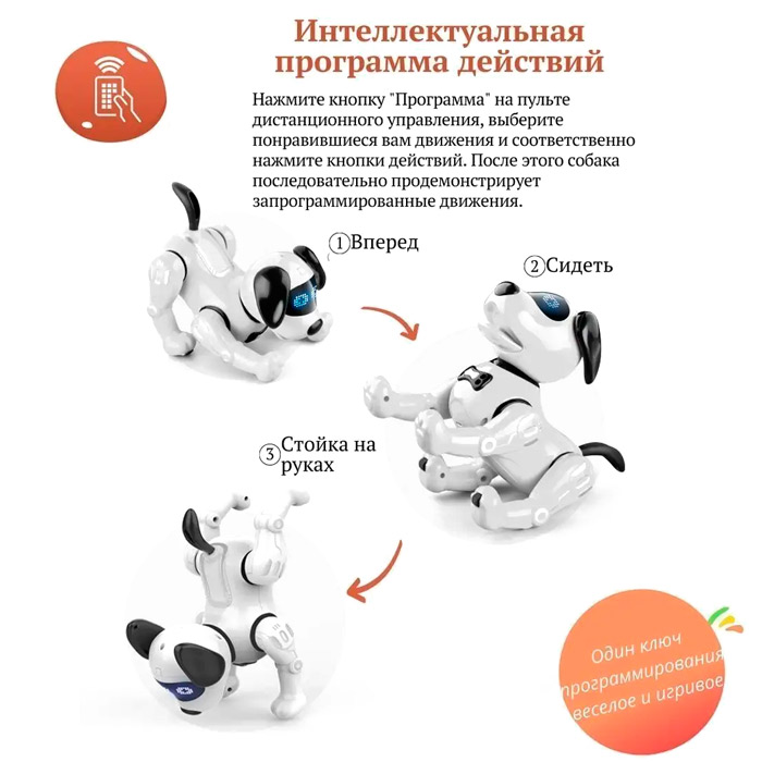 Catelus cu R/C ZYA-A2875